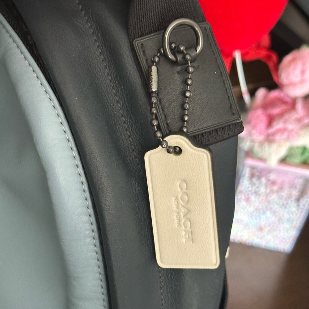 Coach Edge Backpack - Picture 12 of 15